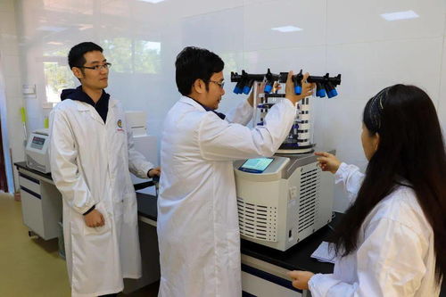 筑牢食品安全屏障，赋能产业创新飞跃——电子科技大学中山学院食品科学技术研究服务升级之路